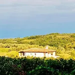 Andolini