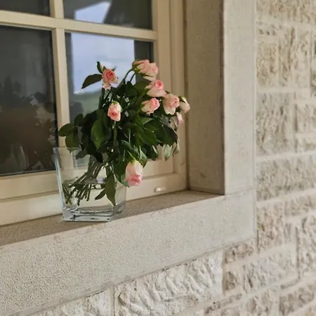 וילה Andolini Momjan