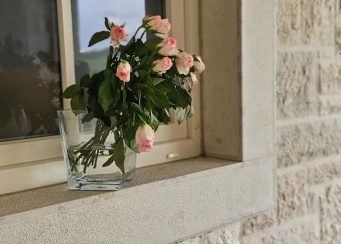 Vila Andolini Momjan